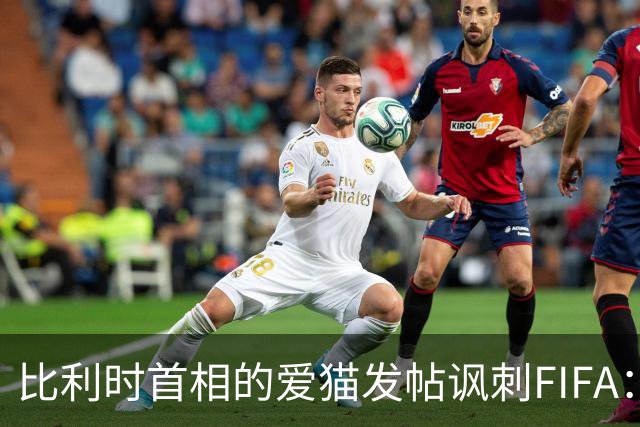 比利时首相的爱猫发帖讽刺FIFA：“红牌？”我照样继续踢！